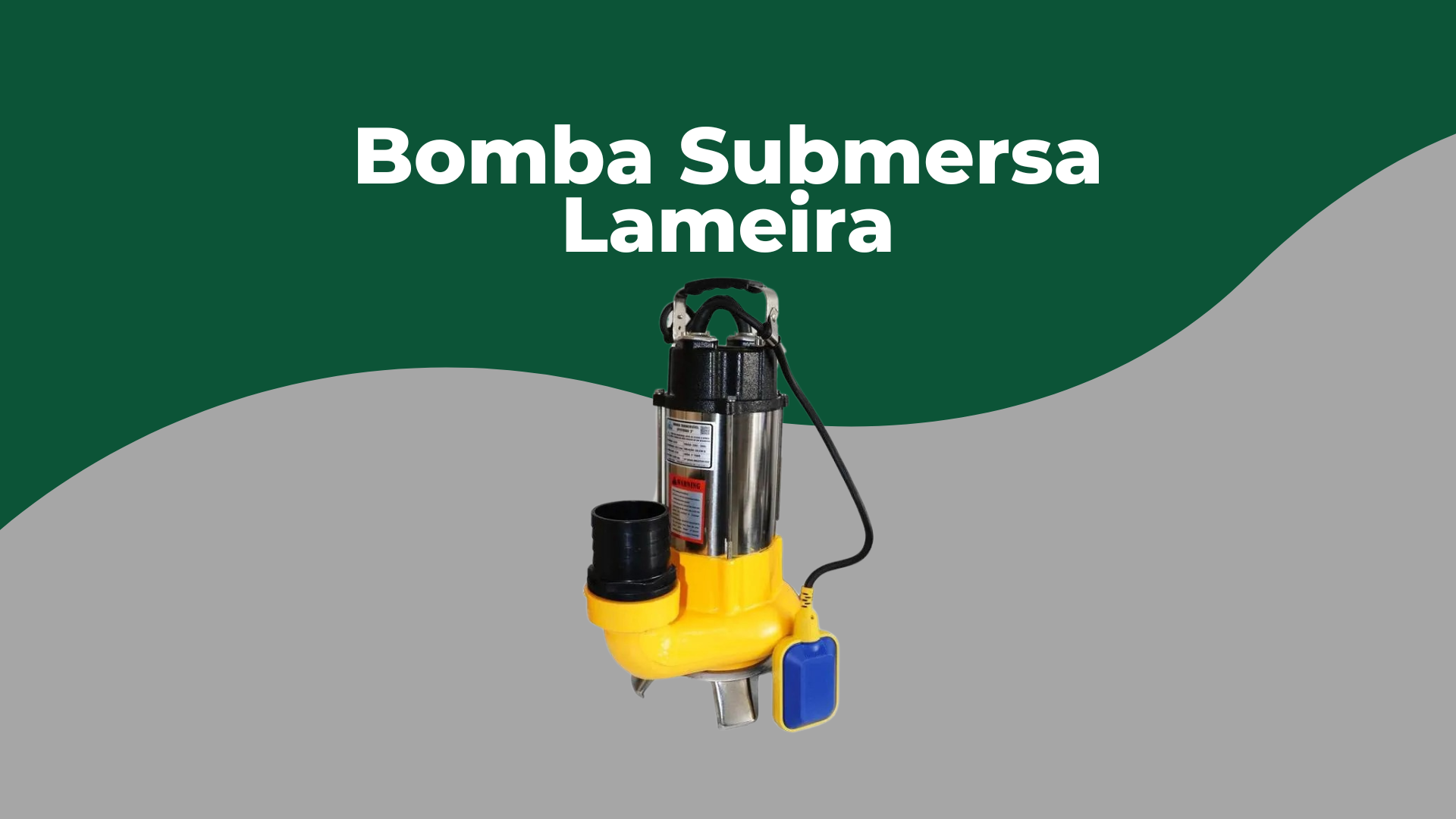 Bomba Submersa Lameira